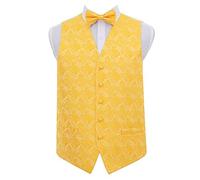 DQT Men Paisley Floral Wedding Waistcoat Bow Tie and Hanky Gold 42"