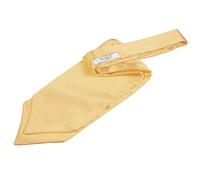 DQT Men Plain Satin Wedding Formal Casual Groom Best Man Classic Ascot Self Tied Cravat - Pale Yellow
