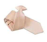 DQT Men Plain Solid Check Wedding Formal Casual Groom Neck Tie - Champagne, Clip on Tie