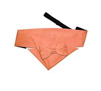 DQT Mens Plain Satin Bow Tie, Cummerbund & Pocket Square Set (3pc) - Pre-Tied Wedding Formal - Coral