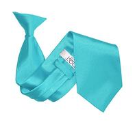 DQT Mens Plain Satin Clip-On Tie - Pre-Tied Necktie for Wedding, Business, Uniform, Security & Formal - Robins Egg Blue
