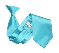 DQT Mens Plain Satin Clip-On Tie - Pre-Tied Necktie for Wedding, Business, Uniform, Security & Formal - Robins Egg Blue