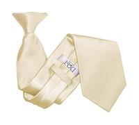 DQT Men's Plain Satin Polyester Easy to Wear Clip On Tie Made for Security Officers Business and Wedding - Champagne