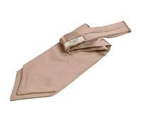 DQT Mens Plain Satin Wedding Self-Tie Ascot Cravat | 13 cm Blade, Fits 36-47 cm Neck, Suit and Waistcoat Accessory, Best Man, Groomsmen, Proms, Business Wear and Formal Events