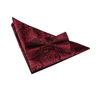 DQT New Paisley Men's Burgundy Bow Tie & Hanky Set