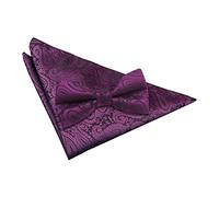 DQT New Paisley Men's Purple Bow Tie & Hanky Set
