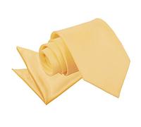 DQT Plain Glossy Satin Polyester Wedding Classic Neck Tie and Pocket Square Set for Men in Pale Yellow