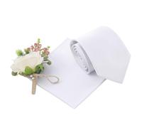 DQT Plain Glossy Satin Polyester Wedding Classic Neck Tie and Pocket Square Set for Men in White