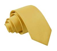 DQT Plain Glossy Satin Polyester Wedding Neck Tie for Boys 7-12 Years Old in Gold