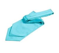 DQT Plain Satin Wedding Self-Tie Ascot Cravat for Men - Robins Egg Blue