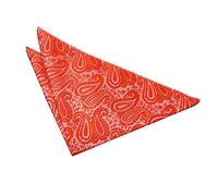 DQT Premium Woven Microfibre Paisley Patterned Burnt Orange Men's Fashion Wedding Handkerchief Pocket Square Hanky Accessory