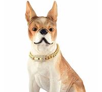 DQZRTUECA 14mm Wide Plated Dog Collar Training Necklace With Diamond Buckle For Medium Dogs, 316L Stainless Steel Metal Cuban Link Chain Dog Necklace(14inch)