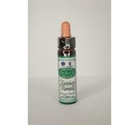 Dr Bach Bach Recovery Remedy