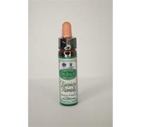 Dr Bach Bach Recovery Remedy