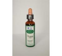 Dr Bach Bach Recovery Remedy Plus