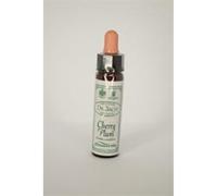 Dr Bach Cherry Plum Bach Flower Remedy