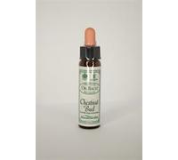 Dr Bach Chestnut Bud Bach Flower Remedy
