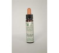 Dr Bach Hornbeam Bach Flower Remedy