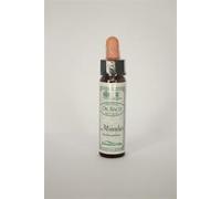 Dr Bach Mimulus Bach Flower Remedy