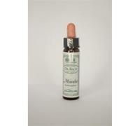 Dr Bach Mimulus Bach Flower Remedy