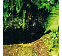 Dr Bach Rock Water Bach Flower Remedy