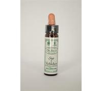 Dr Bach Star of Bethlehem Bach Flower Remedy