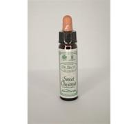 Dr Bach Sweet Chestnut Bach Flower Remedy