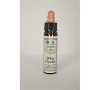 Dr Bach White Chestnut Bach Flower Remedy