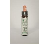 Dr Bach Wild Rose Bach Flower Remedy