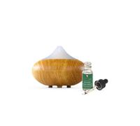 Dr. Botanicals Rejuvenating Eucalyptus Relexation Diffuser Kit In White White One Size