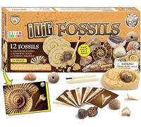 Dr.Daz Fossil Digging Kit Age 6+ for Kids, Dig It Up Discovery Kit with 12 Real Fossils, Science & Archeology Educational Toys for Kids -12, STEM Activities, Birthday Gifts for Boys & Girls