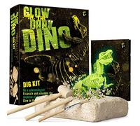 Dr. Daz Glow-in-the-Dark Dinosaur Skeleton Excavation Set for Children Dino Bone Excavation Toy Archaeology Palaeontology Gift