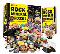 Dr. Daz Rock Fossil Mineral Collection Activity Kit Includes 250+ Real Specimens Ultimate Display Case Fossils Gems Rocks Genuine Minerals for Kids Great Science Gift for Boys Girls