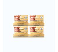 Dr Denti Temporary Tooth Filling 4 x 3Grams