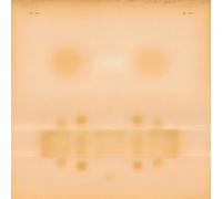 Dr. Dog - Dr. Dog [VINYL]