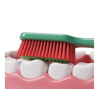 Dr.emmet Big Head Manual Toothbrush - 5 Pack, Ultra Soft Bristle Toothbrushes for Adults, Extra Soft Flossing Toothbrush for Sensitive Teeth