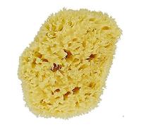 Dr Hauschk (DRHF0), Natural Marine Sponge S/M 8-10 cm