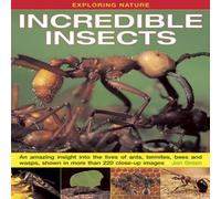 Dr Jen Green Exploring Nature: Incredible Insects Hardback Book Dr Jen Green Multicolor