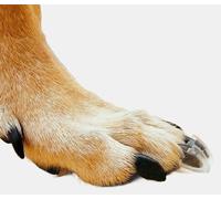 Dr. McHenry's Dog Toe Treads, Set of 20 w/Adhesive & Cleaning Brush, Increased Traction & Stability on Slippery Floors, Senior Dog Traction & Mobility Support (Large Kit- Weight: 40-60 lbs.)