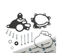 DR.MOTOR AUTOMOTIVE DRM0252 Repair Kit, vacuum pump (brake system)