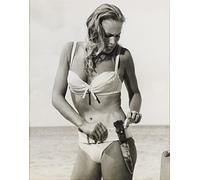Dr. No 1962 Ursula Andress Spy Film Movie Cinema Vintage Beach Girl Print Poster Wall Art Picture A4 +