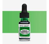 Dr. Ph. Martin's : Radiant Watercolour Paint Dye : 15ml : Calypso Green