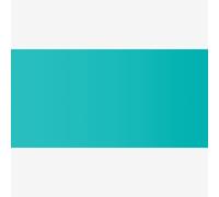 Dr. Ph. Martin's : Radiant Watercolour Paint Dye : 15ml : Juniper Green