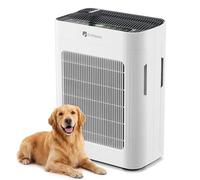 Dr.Prepare Air Purifier for Home Large Room,Double-Sided Intake H13 HEPA | Filter with Active Carbon to Reduce Pollen, Dust, Pet Hair & Odours, CADR 300m³/h, 20dB Quiet Air Cleaner for Bedroom, Office