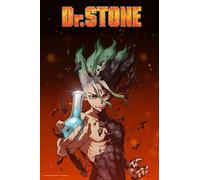 Dr Stone Anime Poster Art Glossy Poster A4-21 x 29 cm