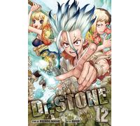 Dr. STONE, Vol. 12 : The Secret Of Petrification