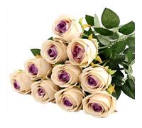 DR. WATCH Valentines Gift,10 Red Artificial Silk Roses, 50 cm Bouquet for Wedding, Indoor and Outdoor Decoration (Champagne-colored) (Purple)