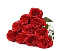 DR. WATCH Valentines Gift,10 Red Artificial Silk Roses, 50 cm Bouquet for Wedding, Indoor and Outdoor Decoration (Champagne-colored) (Red)