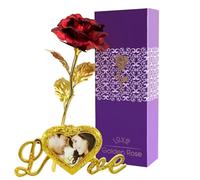 DR. WATCH Valentines Gift,24K Rose Flower - Creative Artificial Gold Dipped Long Stem Forever Rose with Gift Box & Bag - Perfect Elegant Keepsake for Mother's Day, Thanksgiving Day (Red - B)