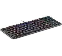 DR1TECH Raven+ TKL Mechanical RGB Gaming Keyboard for PC [20 mln Click] 87 Keys Anti Ghosting - Ergonomic USB Keyboard with Wire (International QWERTY Layout)